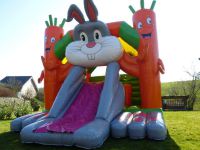 Chateau lapin Animafête