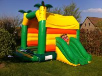 Chateau monkey Animafête