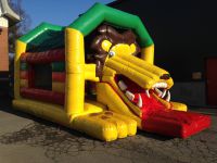 Chateau lion Animafête