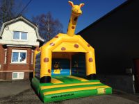 Chateau Girafe Animafête