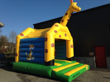 Chateau jump & slide Animafête
